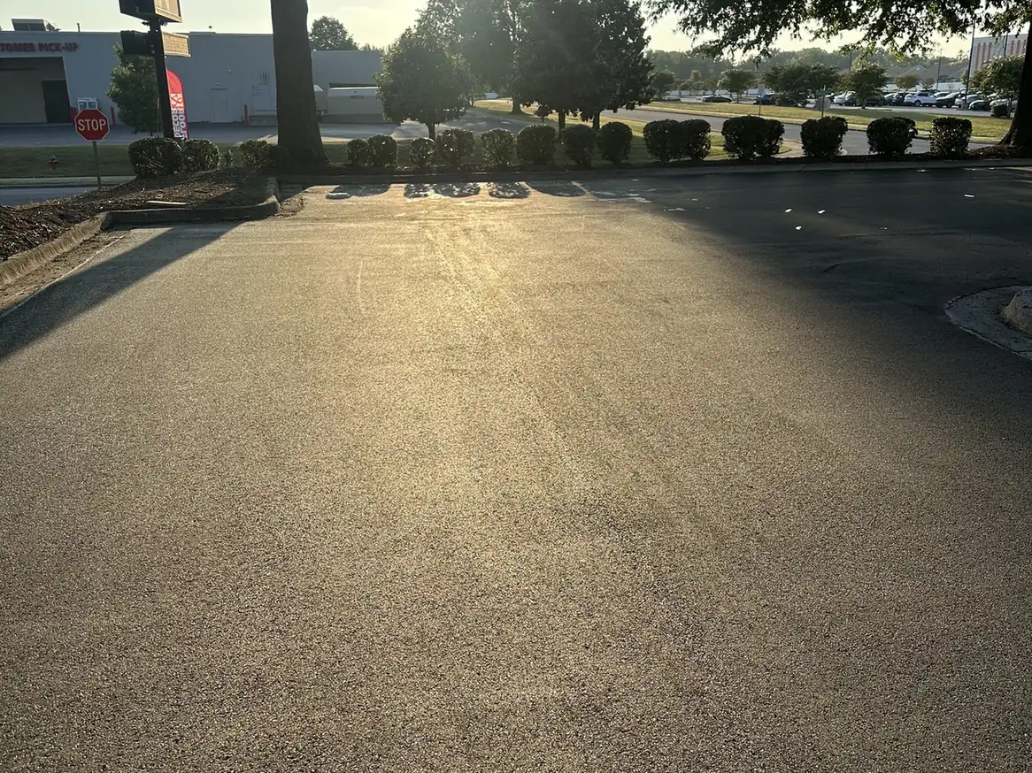 Fresh asphalt overlay under shade trees on a parking lot, asphalt resurfacing